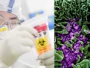 Restricțiile pentru protejarea sănătații sunt posibile încă doi ani! Avertismentul unui epidemiolog: „Avem cunoştinţe prea puţine despre acest virus. Este posibil să descoperim calităţi neplăcute!”