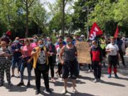Sezonier român la o fermă de sparanghel, 5 euro salariul pentru o lună de muncă, după proteste