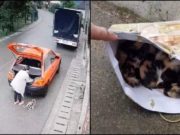 Șoferiță filmată când abandonează o pisicuță împreună cu puii ei, pe marginea unei șosele din Breaza