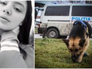 Copilă de 13 ani dispărută de 10 zile, familia a anunțat Poliția abia azi