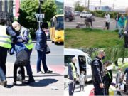 Cerșetori ridicați de pe străzi la Baia Mare și puși să măture orașul. Unii s-au tăvălit pe jos ca să nu muncească