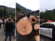 Revoltă într-o comună din Maramureș din cauza furturilor ilegale de păduri: ‘Ne fură pădurile!’