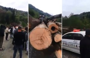 Revoltă într-o comună din Maramureș din cauza furturilor ilegale de păduri: ‘Ne fură pădurile!’