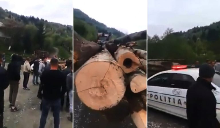 Revoltă într-o comună din Maramureș din cauza furturilor ilegale de păduri: ‘Ne fură pădurile!’