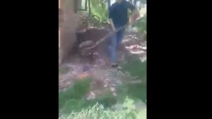 NzgwJmg9NDQwJmhhc2g9OWEyYzlmM2ZjMDJmYTljMmZiMTM5YWNjODNiMGZhNjc=.thumb