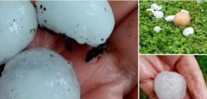 Screenshot_20200607-165050_Facebook