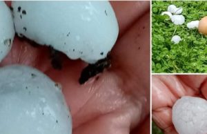 Grindina a lovit puternic la Tășnad, în Satu Mare. Bucăţile mari de gheaţă au făcut prăpăd