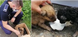 Screenshot_20200618-180749_Facebook