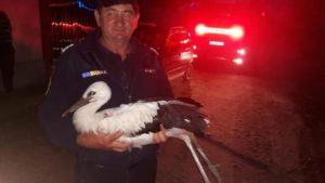 Y2ZkYTBlZGU1MTRkOTg2MGJkZDE1OTUwYmNmNWQ=.thumb