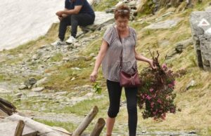 O turistă a dezrădăcinat şi a luat acasă o tufă de bujor de munte. Salvamont Argeş: „Tufele distruse de bipedul din imagine au cel putin 30 de ani”