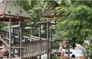 O fetiță de doi ani a fost răpită chiar de sub ochii mamei, într-un parc din Germania