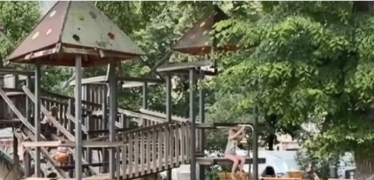 O fetiță de doi ani a fost răpită chiar de sub ochii mamei, într-un parc din Germania