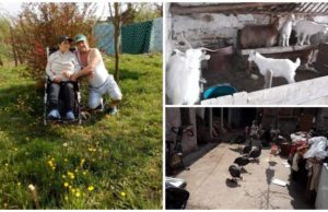 Gheorghe a scos la vânzare tot ce avea în ogradă, ca să-și ajute soția: „Două capre, patru bibilici și doi boboci”