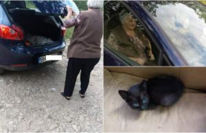 O bătrână cu un sac plin de pisoi, în portbagaj, aruncă puii în pădure, în Bihor: „Am 11 acasă”