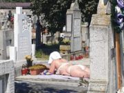 Imagini halucinante într-un cimitir din Alba Iulia. Femeie în costum de baie surprinsă făcând plajă pe piatra unui mormânt