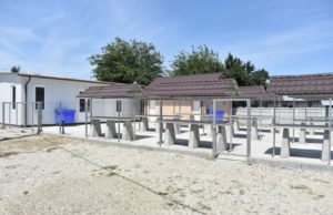 Activitate intensă pentru dezvoltarea comunei Apele Vii