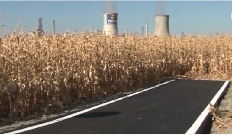 O şosea proaspăt asfaltată din Prahova duce direct în lanul de porumb