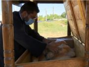 Povestea preotului din Galați care are grijă ca niciun copil să nu adoarmă flămând