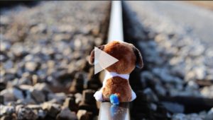 Screenshot_20200908-131622_Samsung Internet