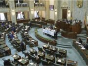 Zile libere pentru părinţi! Senatul a votat proiectul de lege