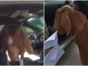 O capră s-a urcat în mașina de Poliție, după ce o polițistă a lăsat ușa deschisă, găsită mestecând documente