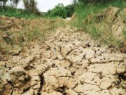 Dispar râuri din Moldova, Dobrogea și Transilvania, din cauza secetei