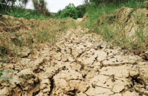 Dispar râuri din Moldova, Dobrogea și Transilvania, din cauza secetei