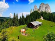 „Ne-ați vândut către streini”