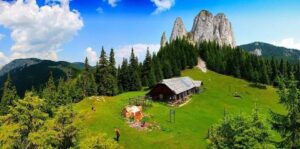 received_1217757245257549