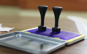 Alegeri-parlamentare-2020-1-2-1068x668