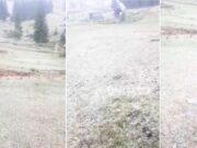 Ninge în județul Alba. Zăpada a început să se depună, cu fulgi mari, la Vârtop-Arieșeni