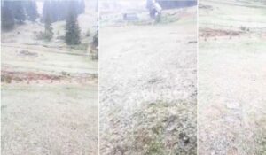 Screenshot_20201013-181549_Facebook