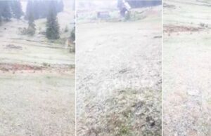 Ninge în județul Alba. Zăpada a început să se depună, cu fulgi mari, la Vârtop-Arieșeni
