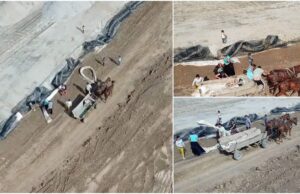 Localnici filmaţi la furat, pe primul Drum Expres din România, Craiova – Piteşti. Au încercat să fugă de dronă cu căruţa