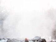 Demența ar putea fi vindecată. Descoperire uluitoare făcută de cercetători