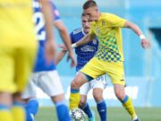 „Pe Mamut l-au studiat analiștii domnului Rotaru”