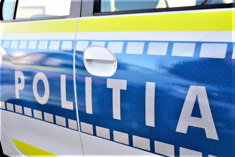 Petrecere oprită de polițiști