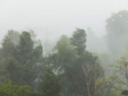 Vremea 3 – 30 noiembrie 2020. Prognoza meteo pentru următoarele patru săptămâni