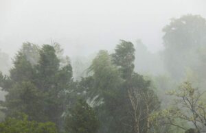 Vremea 3 – 30 noiembrie 2020. Prognoza meteo pentru următoarele patru săptămâni