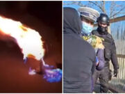 Cățel incendiat pentru amuzament în județul Buzău. Mascații și un ONG au intervenit