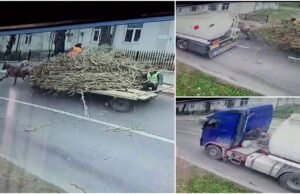 Căruţă acroşată de TIR în Iaşi. Caii au căzut din picioare, căruţaşul a fost aruncat pe şosea