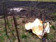 Criminalii femeii incendiate pe un câmp din Ghimpați au fost prinși de polițiști. Sabina locuia cu ei și practica prostituția