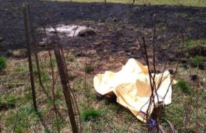 Colegii tinerei arse într-o valiză: „Statul este direct complice”