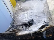 Un container a fost adus pentru morții de la Piatra Neamț. Morga spitalului era plină înainte de incendiu