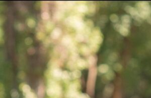 ZI DE SARBATOARE IN MUZICA POPULARA. TANARA INTERPRETA LAURA ROSU IMPLINESTE ASTAZI O FRUMOASA VARSTA.