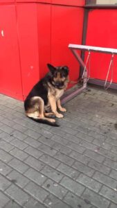 FB_IMG_1609624667740