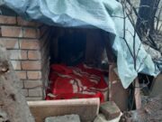 Câini otrăviţi în curtea Spitalului de Neuropsihiatrie din Craiova