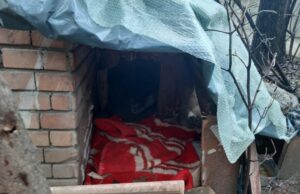 Câini otrăviţi în curtea Spitalului de Neuropsihiatrie din Craiova