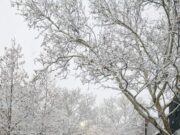 Anunț ANM! Cod galben de viscol. Ploi, lapoviță și ninsoare, prezente în mai multe zone din țară