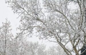 Anunț ANM! Cod galben de viscol. Ploi, lapoviță și ninsoare, prezente în mai multe zone din țară